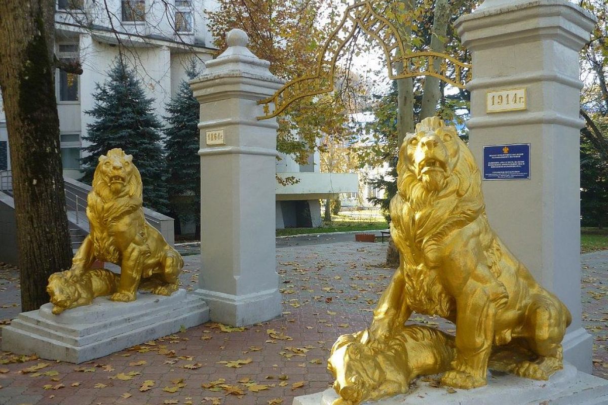 Горячий ключ: канатная дорога «Дыхание гор» + ферма альпак и капибар