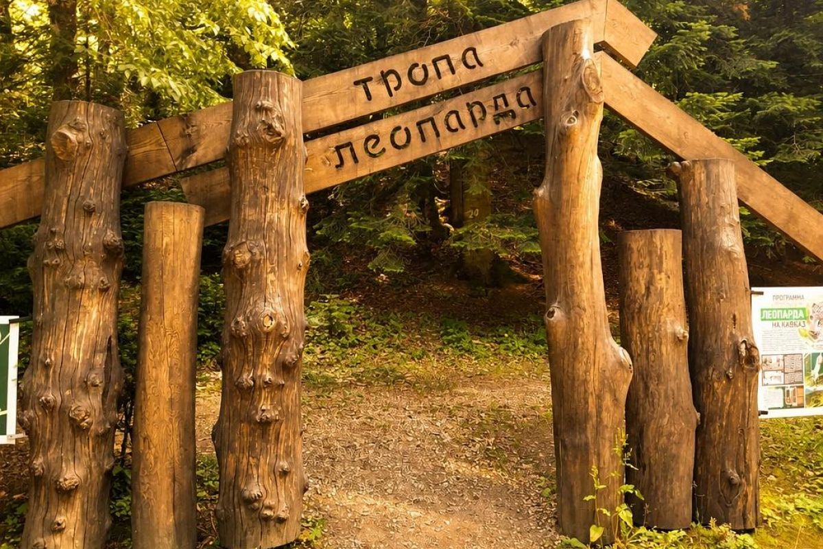 Гузерипль: В сердце кавказского заповедника - Гранитный каньон, тропа леопарда и канатная дорога