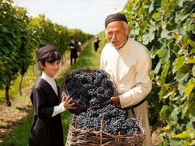 ГРУЗИЯ: РТВЕЛИ- ПРАЗДНИК УРОЖАЯ!